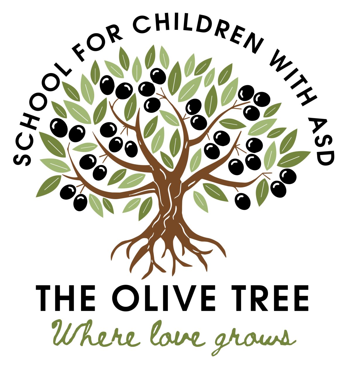 The Olive Tree School - School for Children with Autism